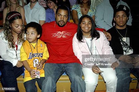 377 Ice Cube Family Stock Photos, High-Res Pictures, and Images - Getty ...