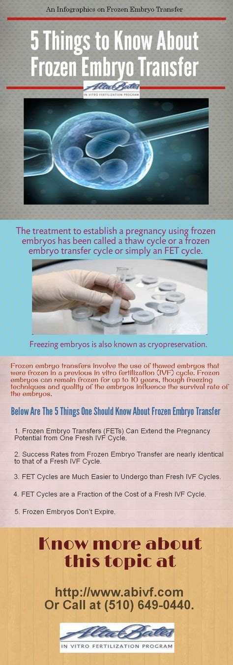 Frozen Embryo Transfer