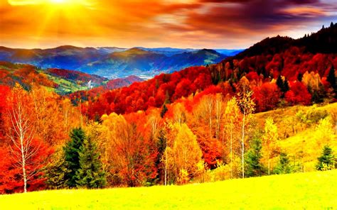 Colorful Nature Desktop Backgrounds