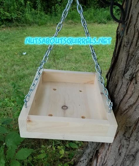 Hanging Platform Squirrel Feeder | Etsy