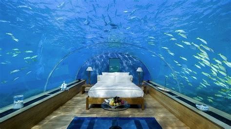 Maldives Rangali Islands Resort Underwater Hotel Room - YouTube