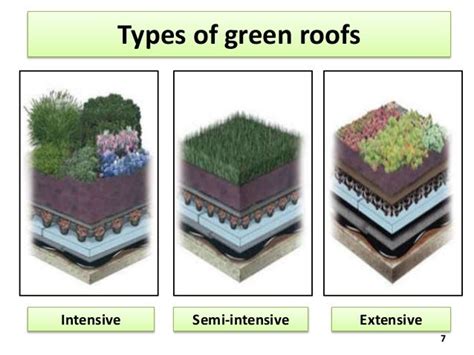 Intensive vs Extensive Green Roof | Green roofs | Green roof, Green ...