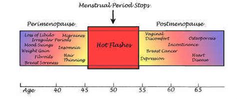 Menopause