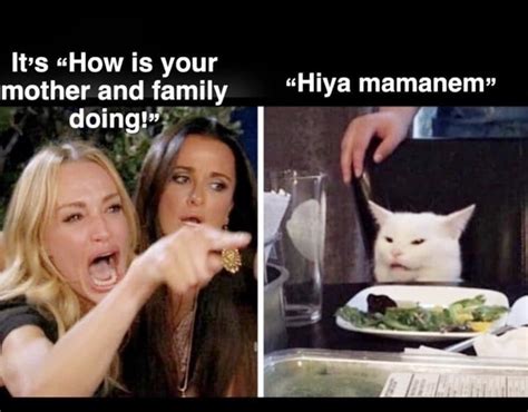 27 "Woman Yelling At A Cat" Memes That Have Kept Me Laughing So Hard