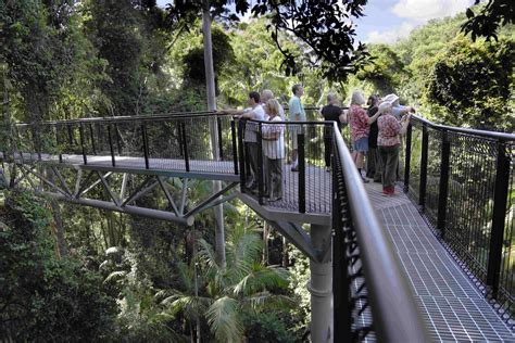 Tamborine Rainforest Skywalk - Scenic Rim