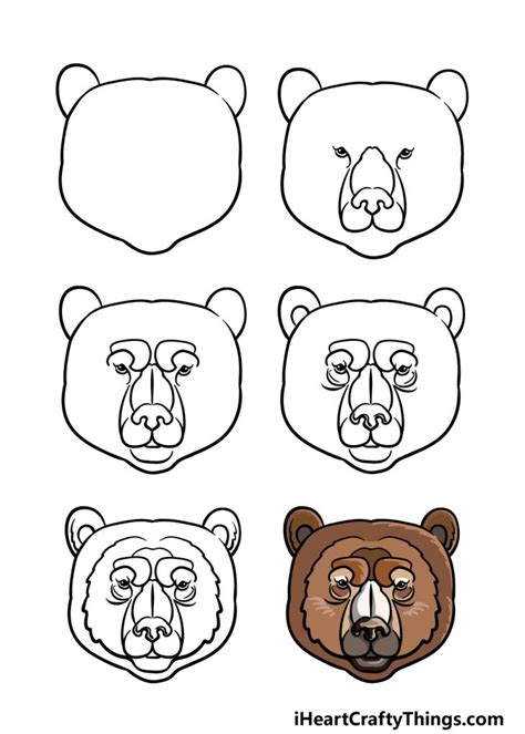 Bear Face Drawing - How To Draw A Bear Face Step By Step