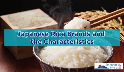 Japanese Rice Brands and the Characteristics - Living Guide in Japan