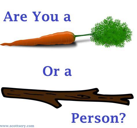 Do You Prefer a Carrot or a Stick? - Scott Sery