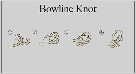 Bowline Knot - Survival World