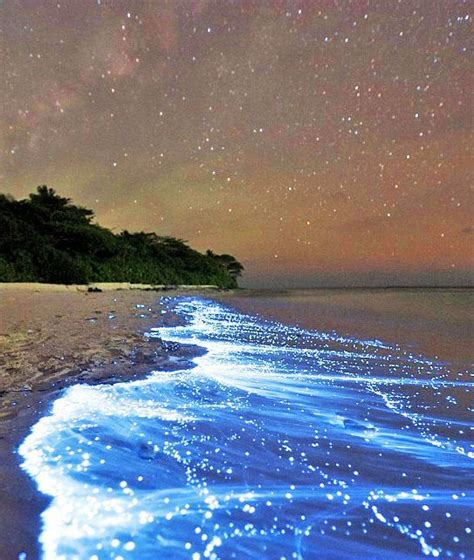 Glowing Blue Tide at night in Vaadhoo Maldives: | Places I want to go ...