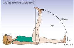 Anatomy Corner: Hip Extension and Hip Flexion! — Musicians' Health ...