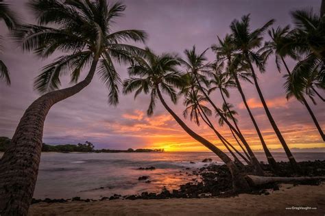 Sunset and coconut palm trees at Makalawena Beach, Kekaha Kai State ...