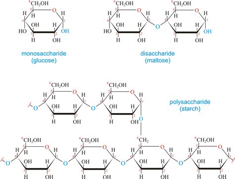 Carbohydrate @ Chemistry Dictionary & Glossary