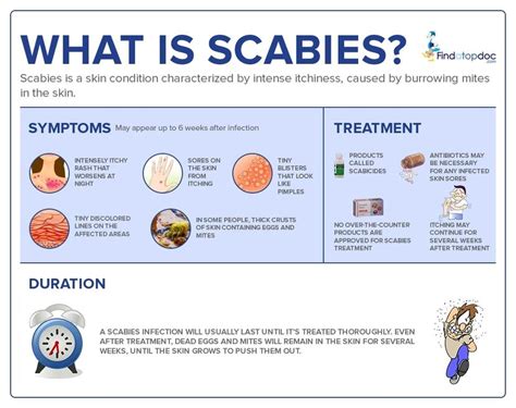 Scabies: Symptoms, Causes, Treatment, and Diagnosis | FindATopDoc