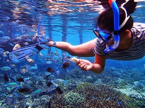 Snorkelling Spot in Indonesia that must be Visited Indonesia Tourism ...