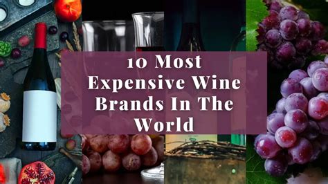 10 Expensive Wine Brands In The World - Let's Find Now