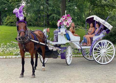 Central Park carriage rides today - Travel World