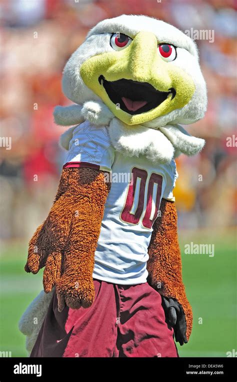 Boston college eagles mascot hi-res stock photography and images - Alamy