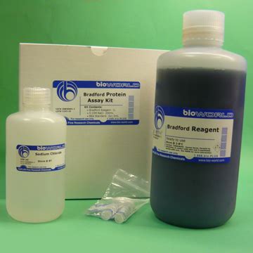 Bradford Protein Assay Kit | Biological Kits | bioWORLD