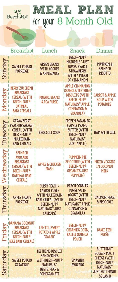 Meal Planner for 8-Month-Old | Baby food 8 months, Baby first foods ...