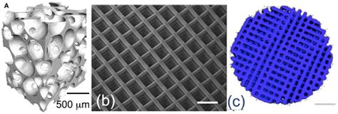 3D Printing Bioactive Glass Scaffolds for Tissue Regeneration - Mo-Sci