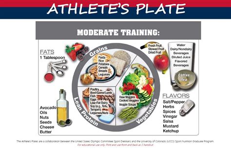 moderate training athlete plate1 | Nutrition, Athlete nutrition ...