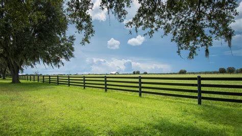 How Much Does a Pipe Fence Cost? | Angi