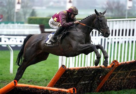 Cheltenham Gold Cup History: All Past Winners and Trends Listed ...