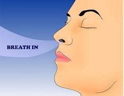 Benefits of Breathing Through Your Nose | Warren NJ Sleep Specialist