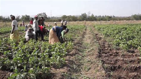 Ethiopia: Exciting innovations in agriculture and health - YouTube