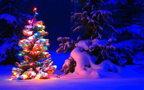 Christmas Background, Snowy Christmas Tree Lights, Snowy Christmas ...