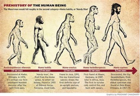 History of world: THE FIRST HUMANS | First humans, Prehistoric man, Human