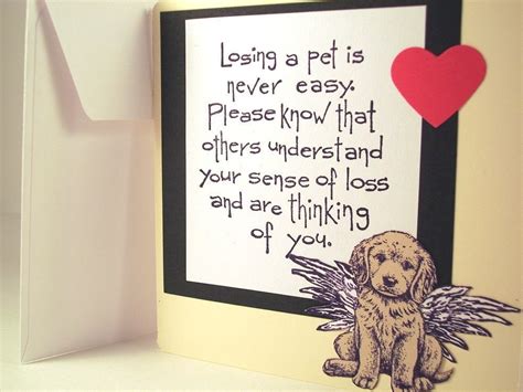 Sympathy Quotes For Loss Of Dog. QuotesGram