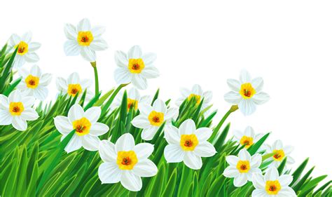 Free Spring Flowers Transparent Background, Download Free Spring ...