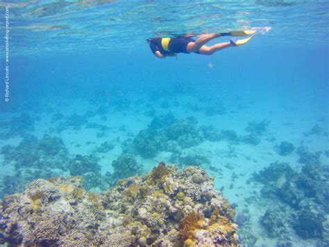 Snorkeling Bahamas | A Guide to the Best Spots | Snorkeling Report