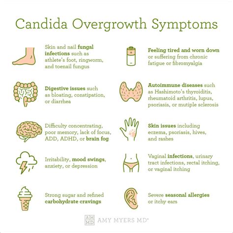 Here Are The 5 Hidden Signs You Have Candida (A Yeast Infection) That ...