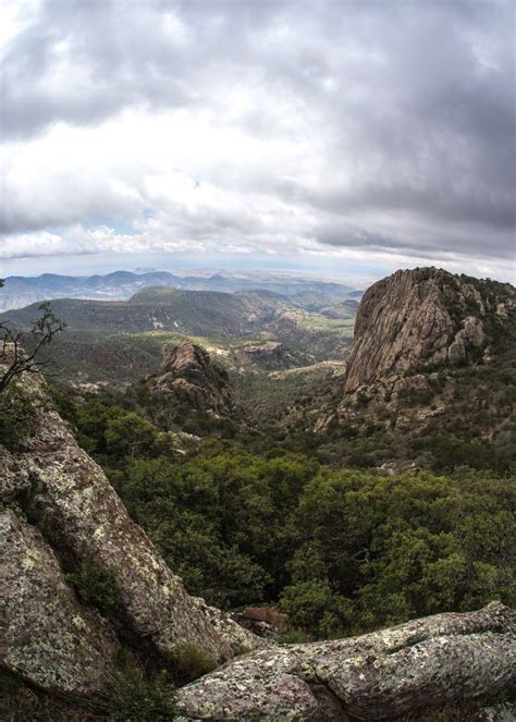 Stark and beautiful images of the Chihuahuan Desert