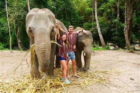 Top 3 Elephant Sanctuaries in Thailand to Visit in 2020 - Indochina Tours