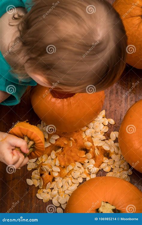 Hollowed out pumpkin stock photo. Image of guts, fruit - 106985214