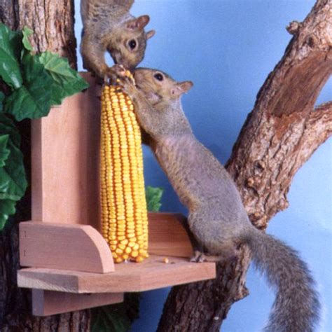 Squirrel Corn Platform Feeder