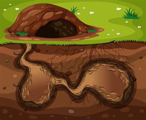 underground burrow clipart 10 free Cliparts | Download images on ...