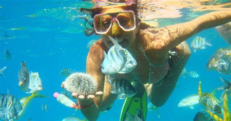 Unique Caribbean Snorkel Adventures | TropixTraveler