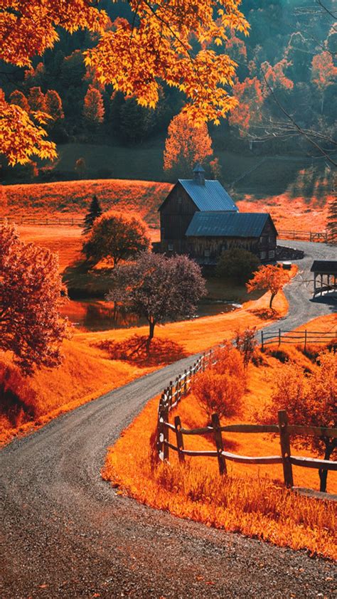 Autumn Landscape | Autumn scenery, Fall pictures, Scenery