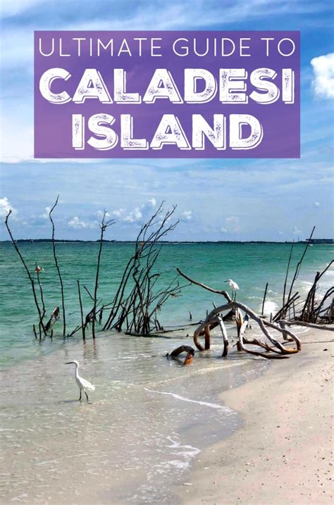 Ultimate Guide to Caladesi Island