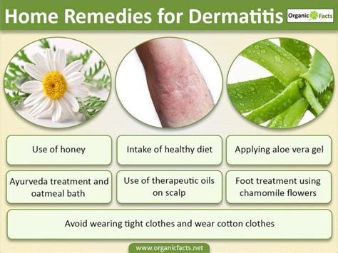 What Are The Different Types Of Dermatitis - DaftSex HD