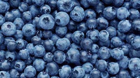 Blueberries 101: Nutrition Facts and Health Benefits