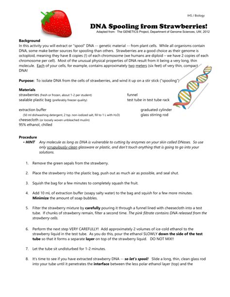 Strawberry Dna Extraction Lab Worksheet – Pro Worksheet