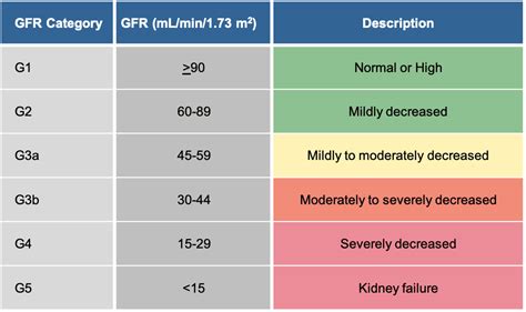 Dialysis For Kidney Failure