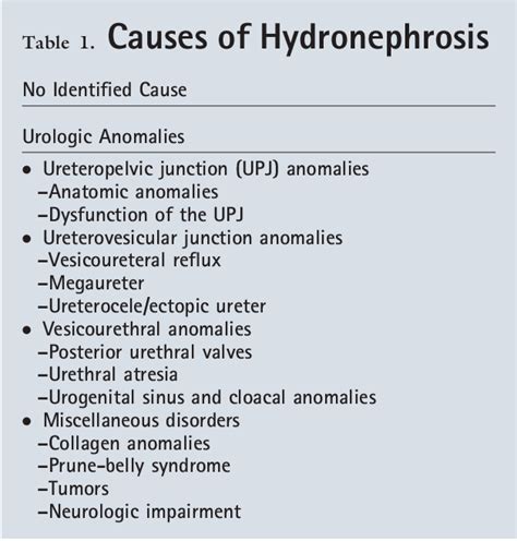 [PDF] Hydronephrosis in the Fetus and Neonate: Causes, Management, and ...