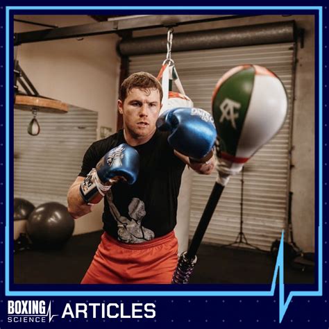 Science Behind Canelo - Boxing Science